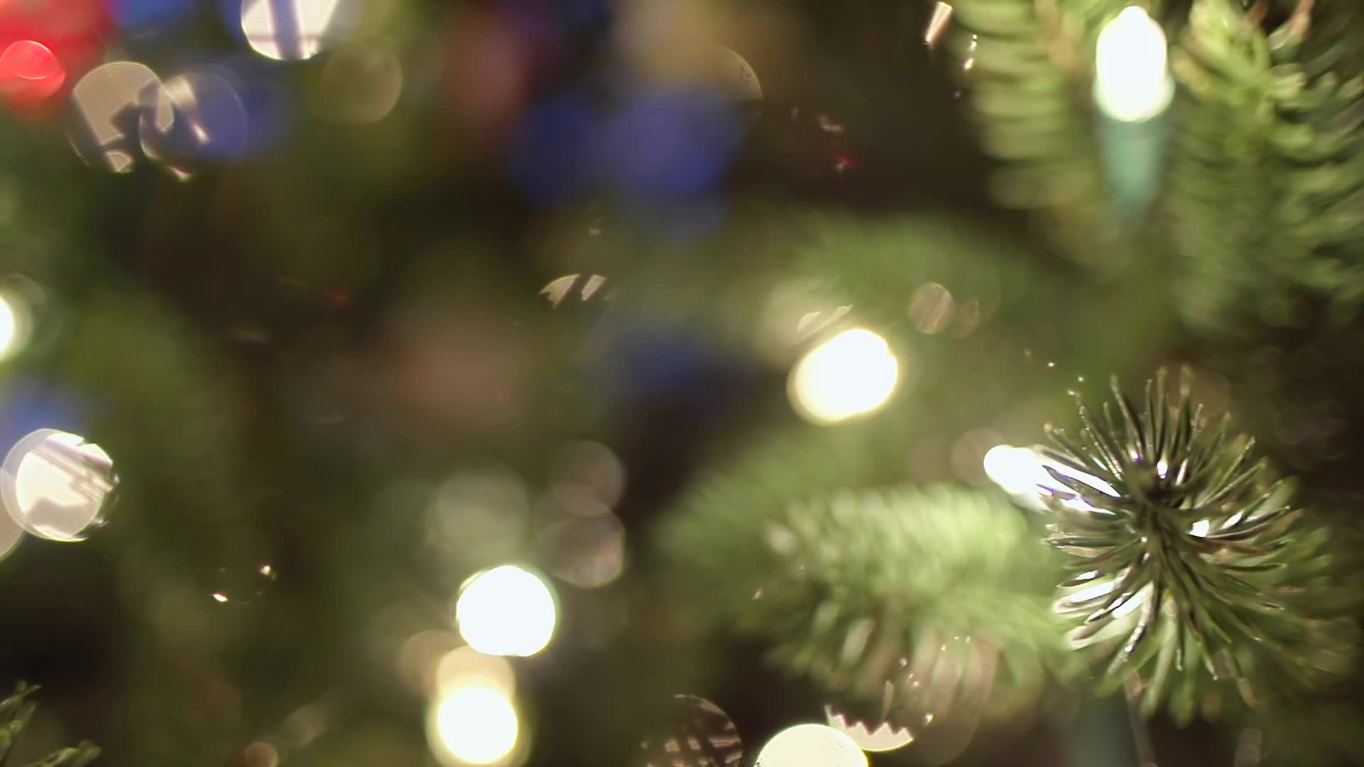 Christmas_Tree_Bokeh